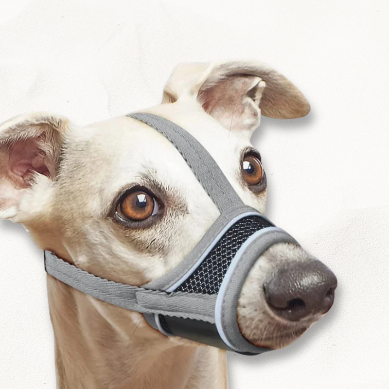 museliere-scratch-easygrip-grise